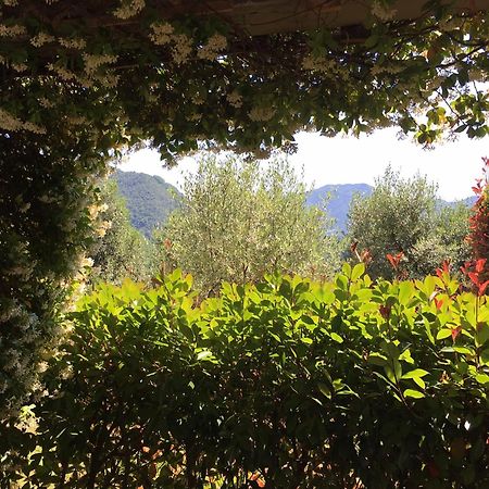 Agriturismo Tenuta La Fratta Bagni di Lucca Ngoại thất bức ảnh