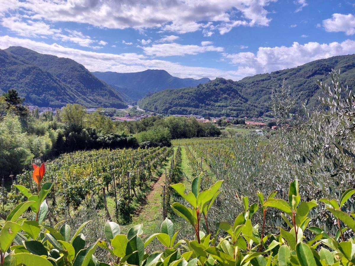 Agriturismo Tenuta La Fratta Bagni di Lucca Ngoại thất bức ảnh