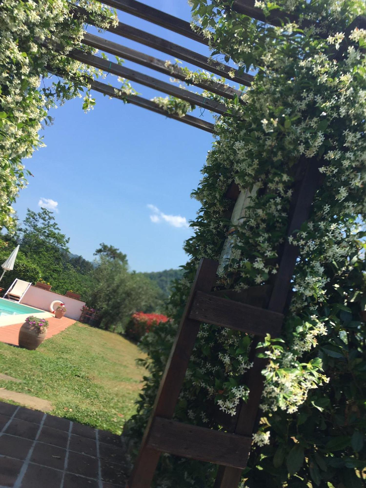 Agriturismo Tenuta La Fratta Bagni di Lucca Ngoại thất bức ảnh