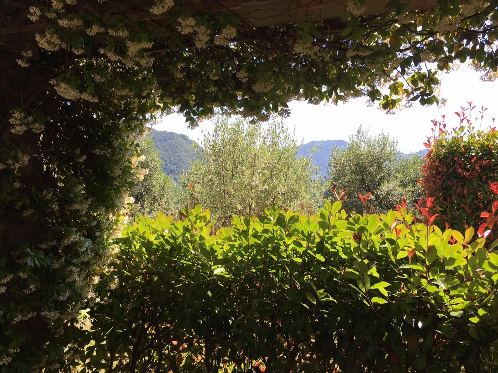 Agriturismo Tenuta La Fratta Bagni di Lucca Ngoại thất bức ảnh