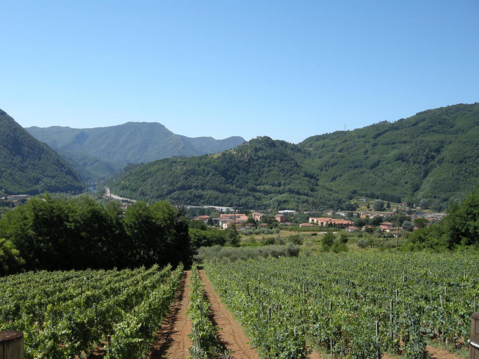 Agriturismo Tenuta La Fratta Bagni di Lucca Ngoại thất bức ảnh