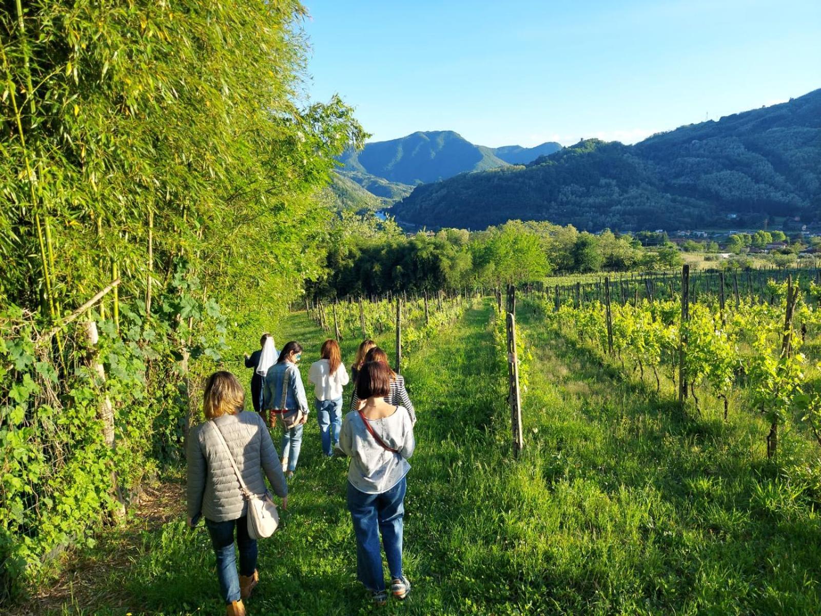 Agriturismo Tenuta La Fratta Bagni di Lucca Ngoại thất bức ảnh