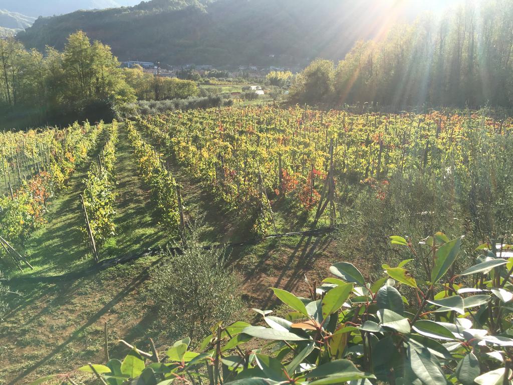 Agriturismo Tenuta La Fratta Bagni di Lucca Ngoại thất bức ảnh