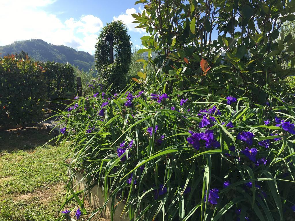 Agriturismo Tenuta La Fratta Bagni di Lucca Ngoại thất bức ảnh
