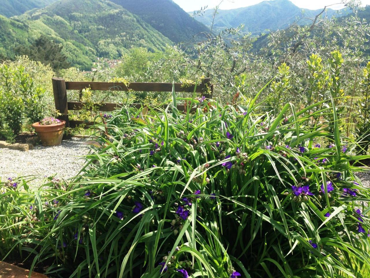 Agriturismo Tenuta La Fratta Bagni di Lucca Ngoại thất bức ảnh