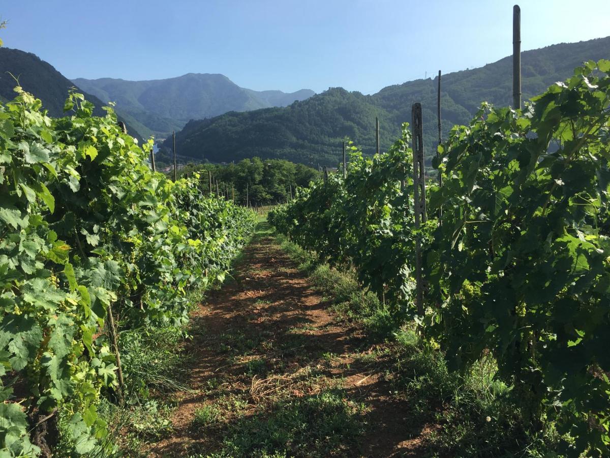 Agriturismo Tenuta La Fratta Bagni di Lucca Ngoại thất bức ảnh